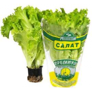 Пакеты для зелени