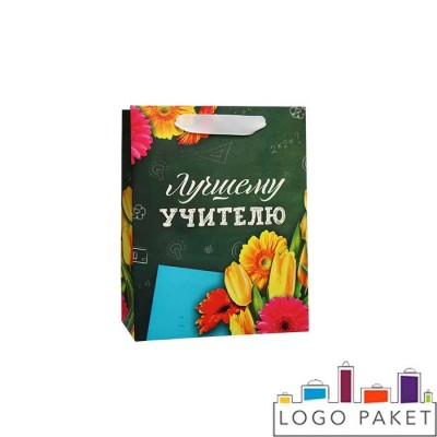 Пакет подарочный с днем учителя