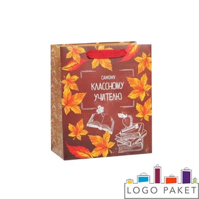 Пакет подарочный с днем учителя
