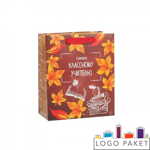 Пакет подарочный с днем учителя