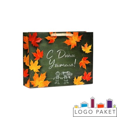 Пакет подарочный с днем учителя