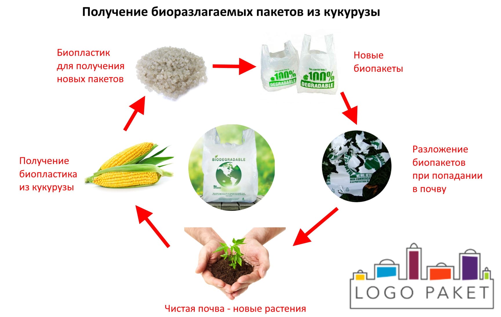 Биопакет из кукурузы производство и разложение
